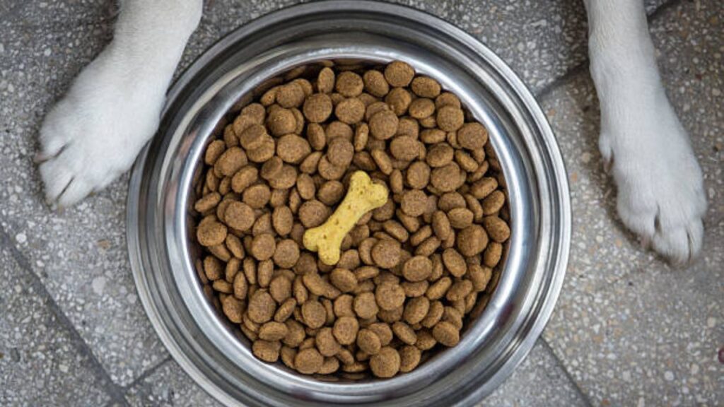 How Urinary Health Dog Food Helps